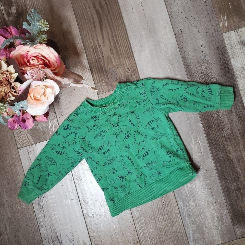 Carter's Green T-Rex Dinosaur Fleece Pullover Sweatshirt Boys Size 18m EUC